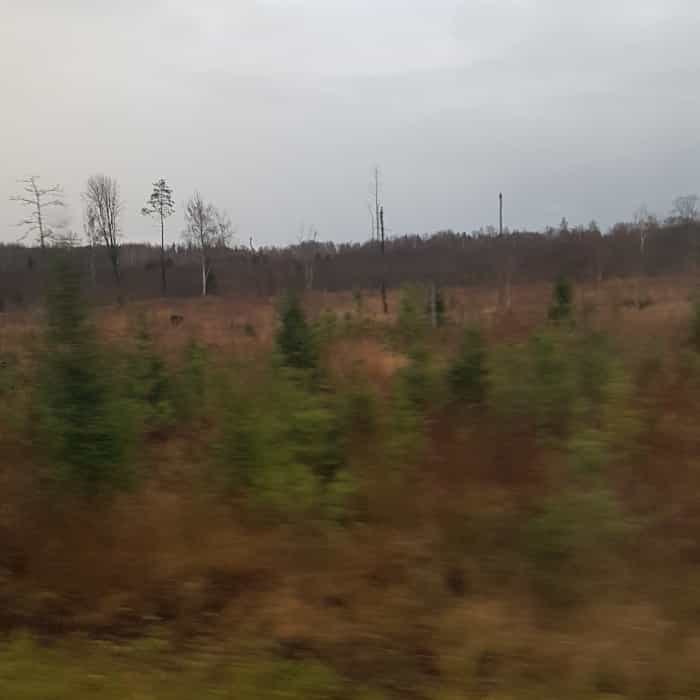 cloudy late autumn landscape, brown with a few small evergreen trees, passing by in a blur