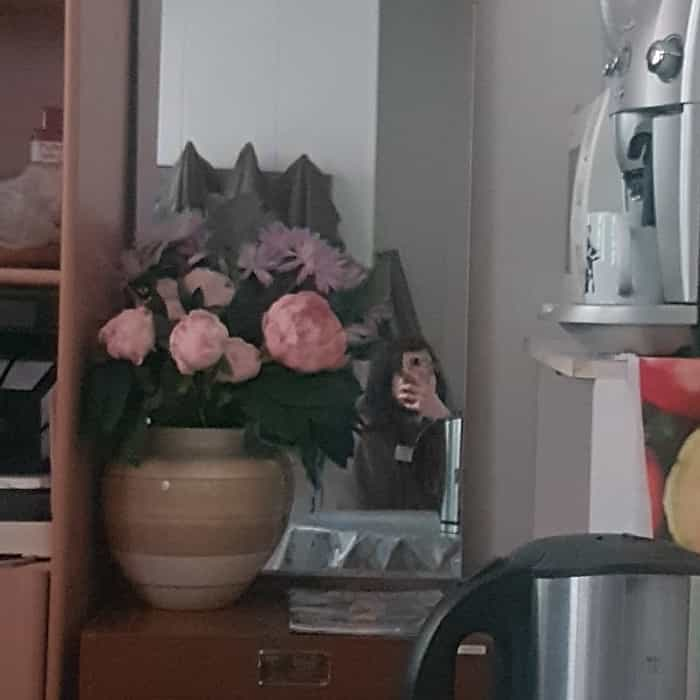 me in the mirror, face hidden by phone, framed by a vase of fake flowers and other items in a small breakroom