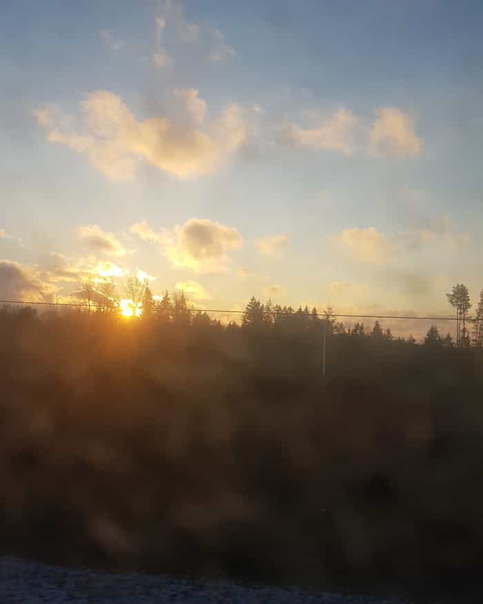 tree-lined sunset with few clouds, as seen from a dirty bus window