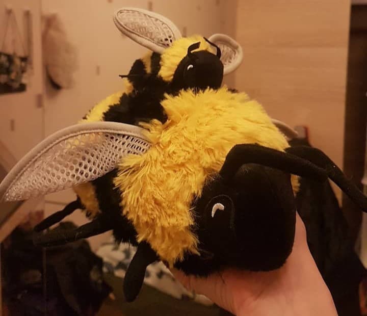 me holding two fuzzy bee plushes with mesh wings, one larger and a tiny one atop it