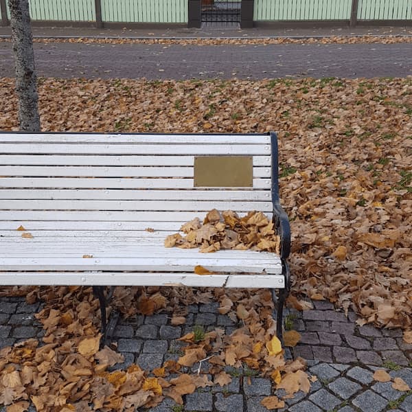 a pile of leaves bunched up at one end of an alley bench in peak autumn
