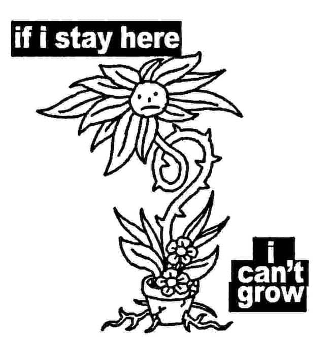 black-and-white drawing of a tall thorny frowning flower in a disproportionately tiny pot, with the text "if i stay here i can't grow"