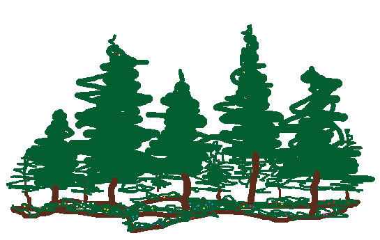 a doodle of a patch of evergreen trees, with a few blooms on the forest floor