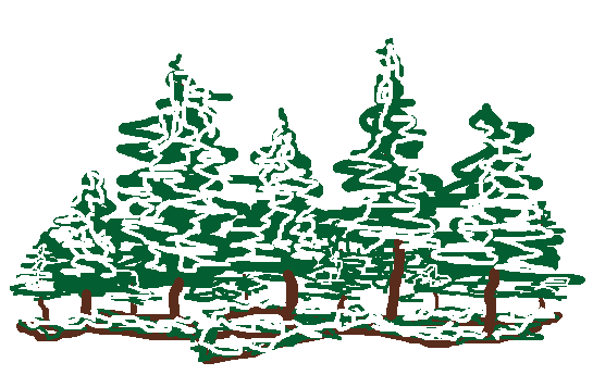 a doodle of a patch of evergreen trees covered with snow