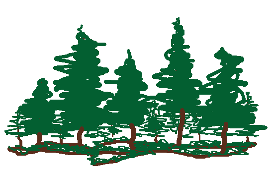 a doodle of a patch of evergreen trees